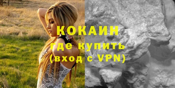 сатива Лабытнанги
