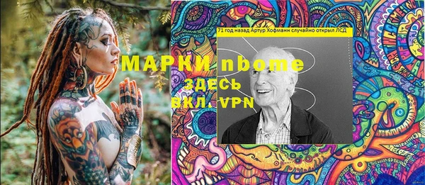 крисы Чердынь