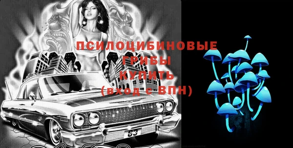 сатива Лабытнанги