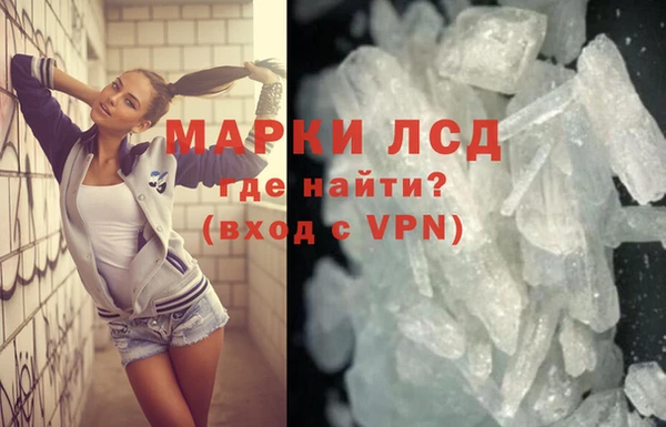 сатива Лабытнанги