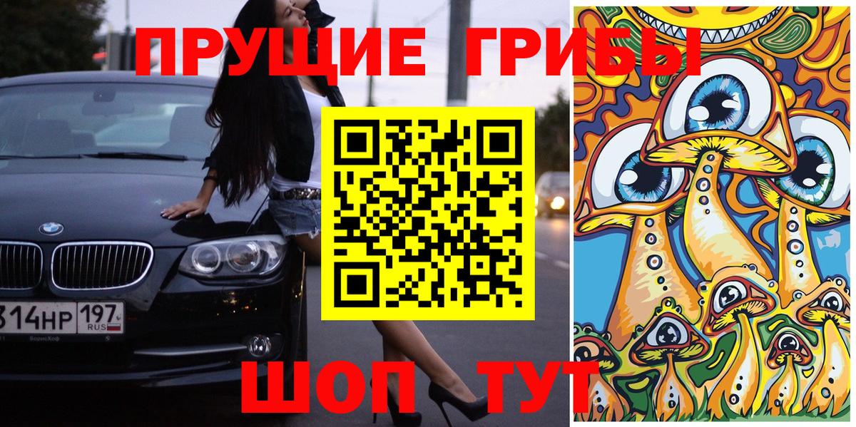 купить  сайты  Вход с VPN  Псилоцибиновые грибы прущие грибы  Пенза  Галлюциногенные грибы мухоморы 